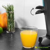 Presse Citrons Presse Jus Professionnel 600w (électrique) Presse Citron électrique | Presse-citrons